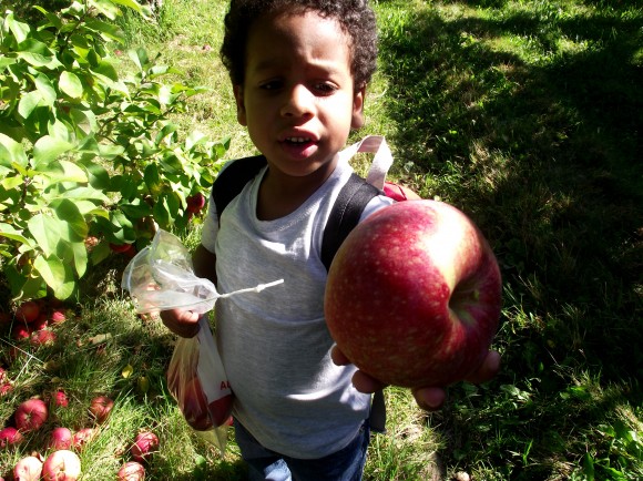 Apple picking