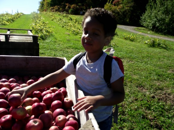 Tristan picking apples