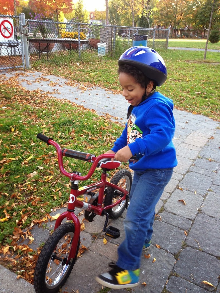 Cupcakes and Bicycle!