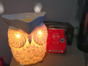 Scentsy Whoot Warmer