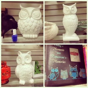 Lady Marielle's Owl Collections