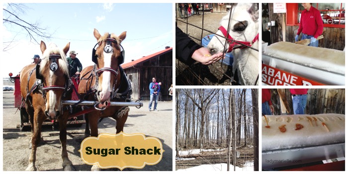 Sugar Shack