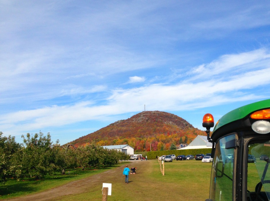 Apple Picking With The Family