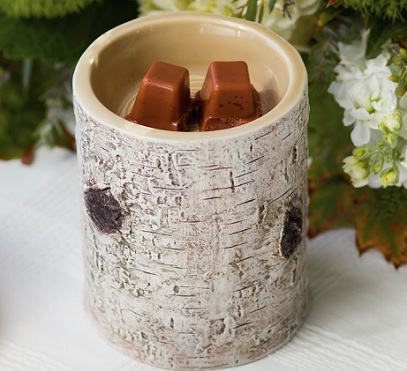 River Birch: December 2014 Scentsy Warmer of the month