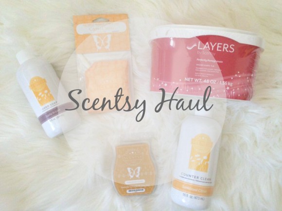 Scentsy Haul