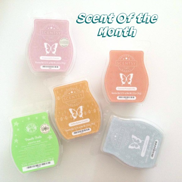Scentsy Haul Scent of the Month