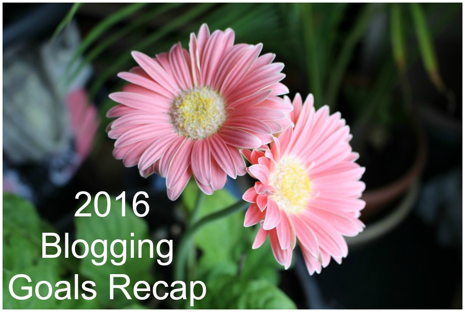 My Ah-mazing 2016 Blogging Goals Recap