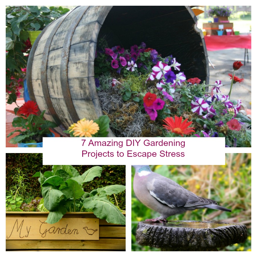 7 Amazing DIY Gardening Projects to Escape Stress