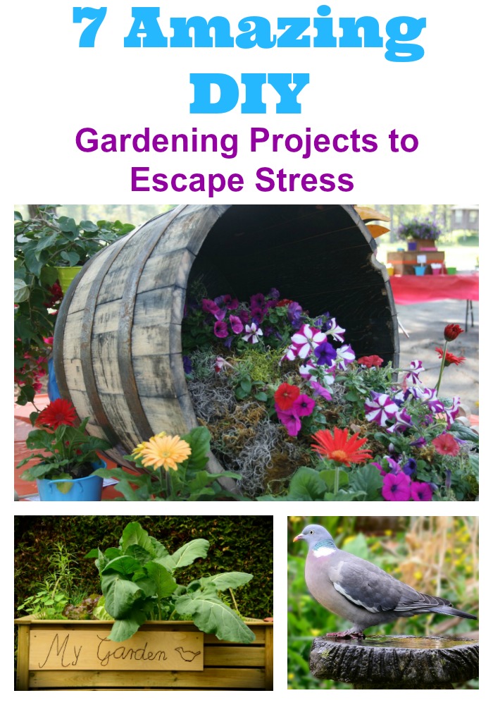 7 Amazing DIY Gardening Projects to Escape Stress