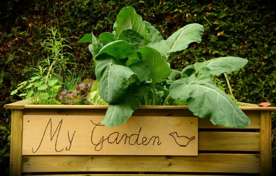 7 Amazing DIY Gardening Projects to Escape Stress