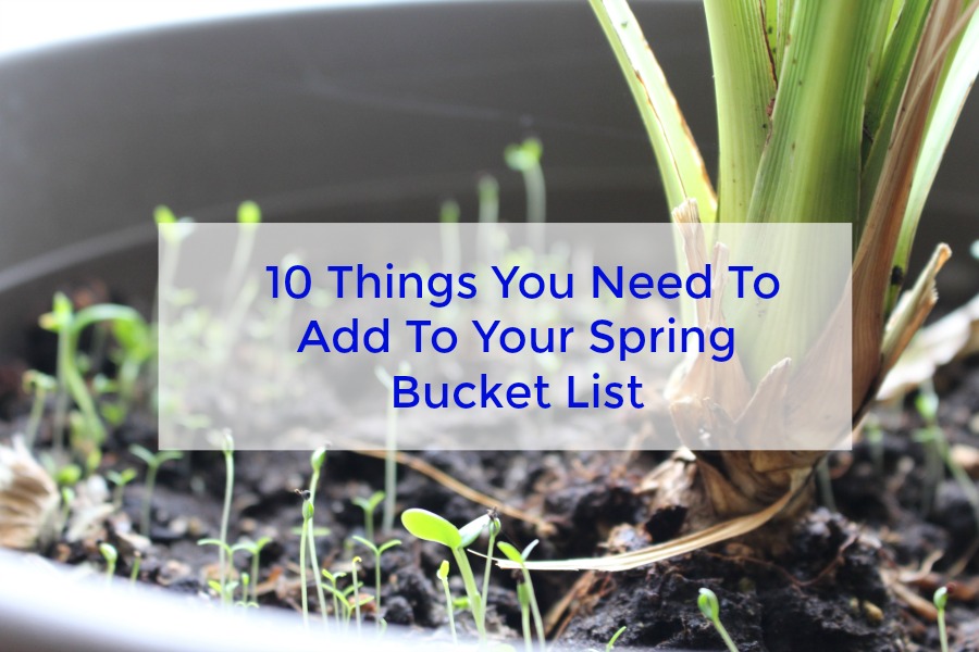  10 Things You Need To Add To Your Spring Bucket List