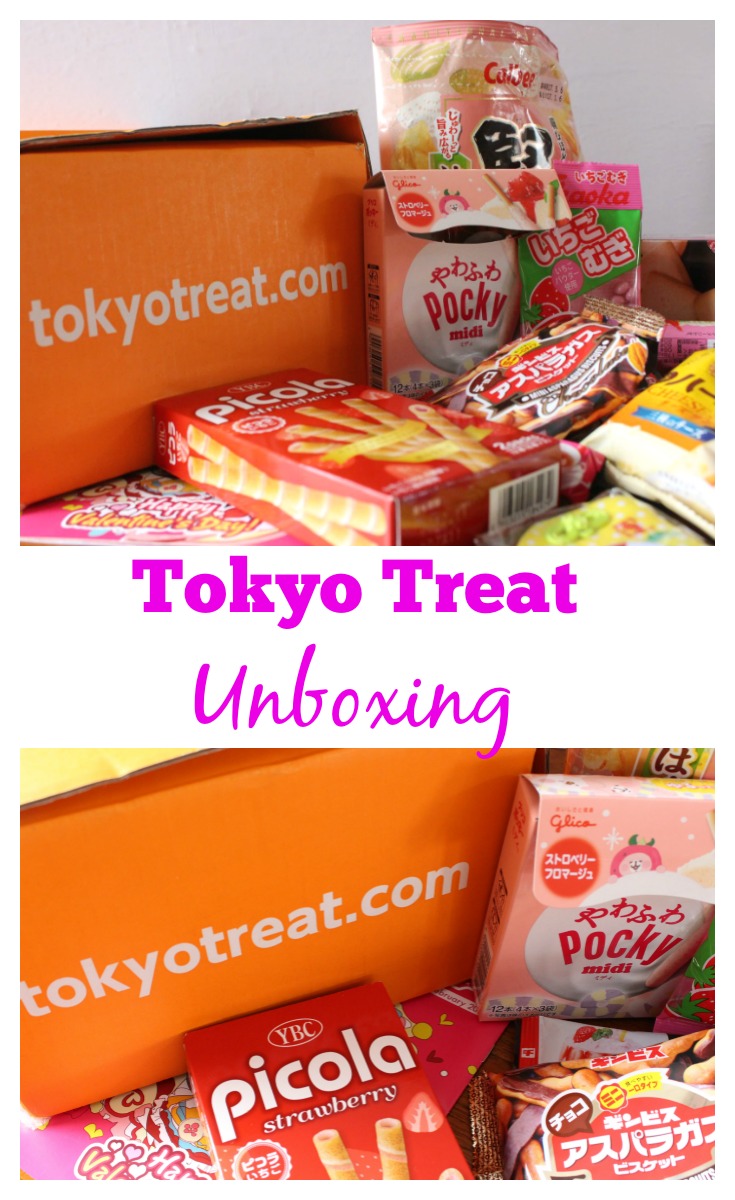 Tokyo Treat Unboxing: Father and Son Taste Test Battle