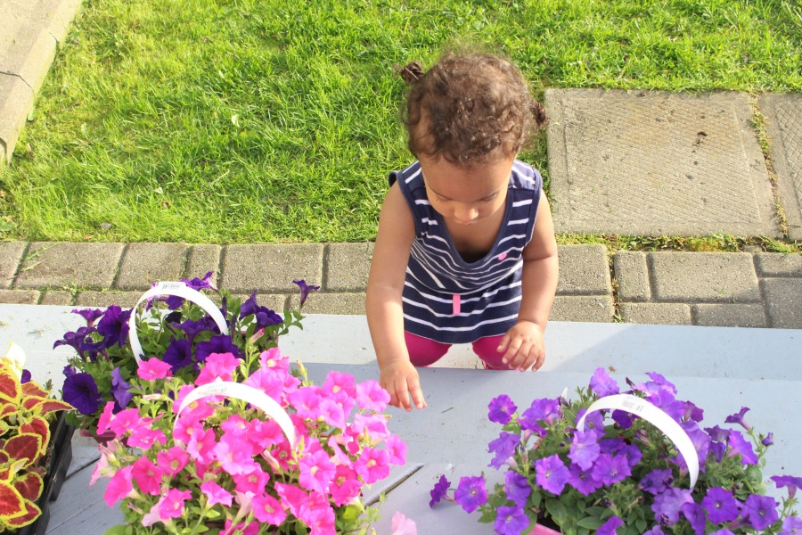 Planting Vegetables & Flowers In Our Garden