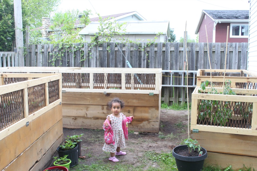 Raised Garden Beds