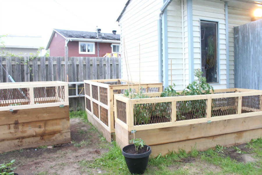 Raised Garden Beds & Prepping For The Summer