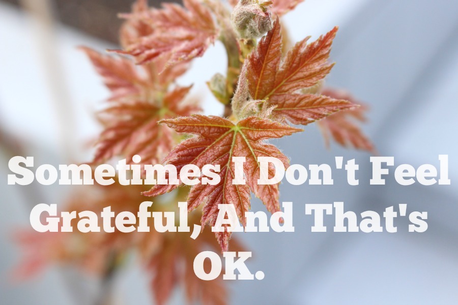 Sometimes I Don't Feel Grateful, And That's OK.