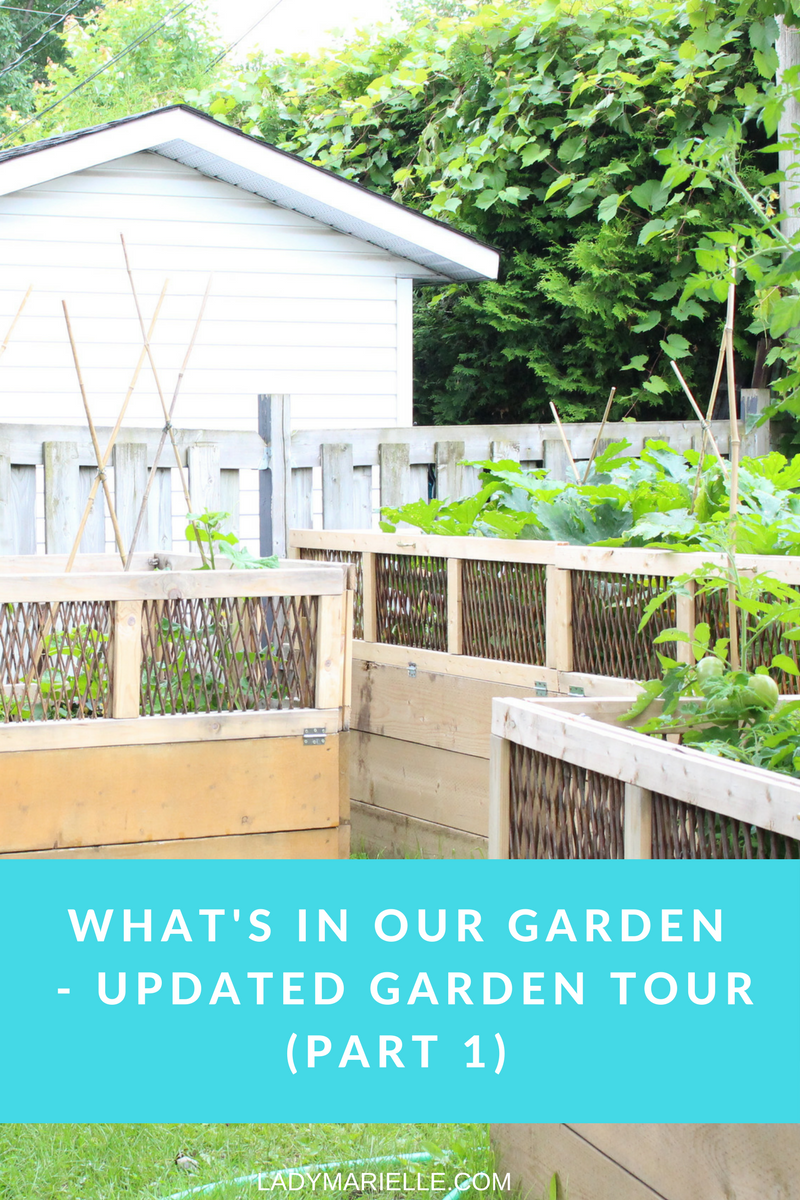 What's In Our Garden - Updated Garden Tour