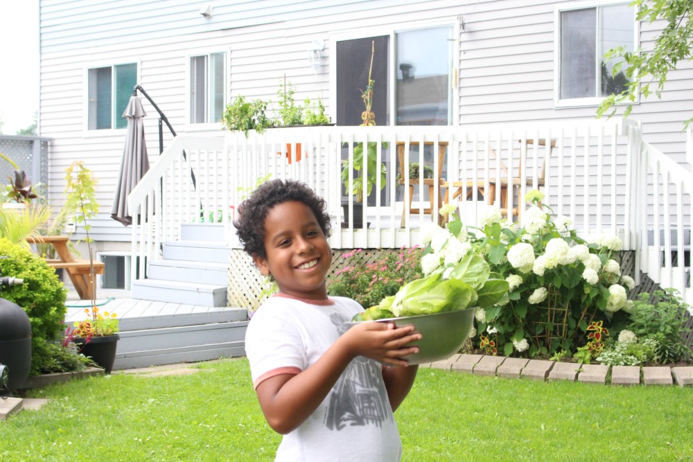 Grateful Sunday: Garden Harvest - We Got Zucchini!