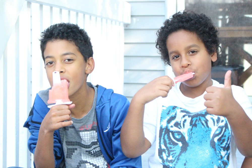 Watermelon Coconut Water Frozen Popsicle