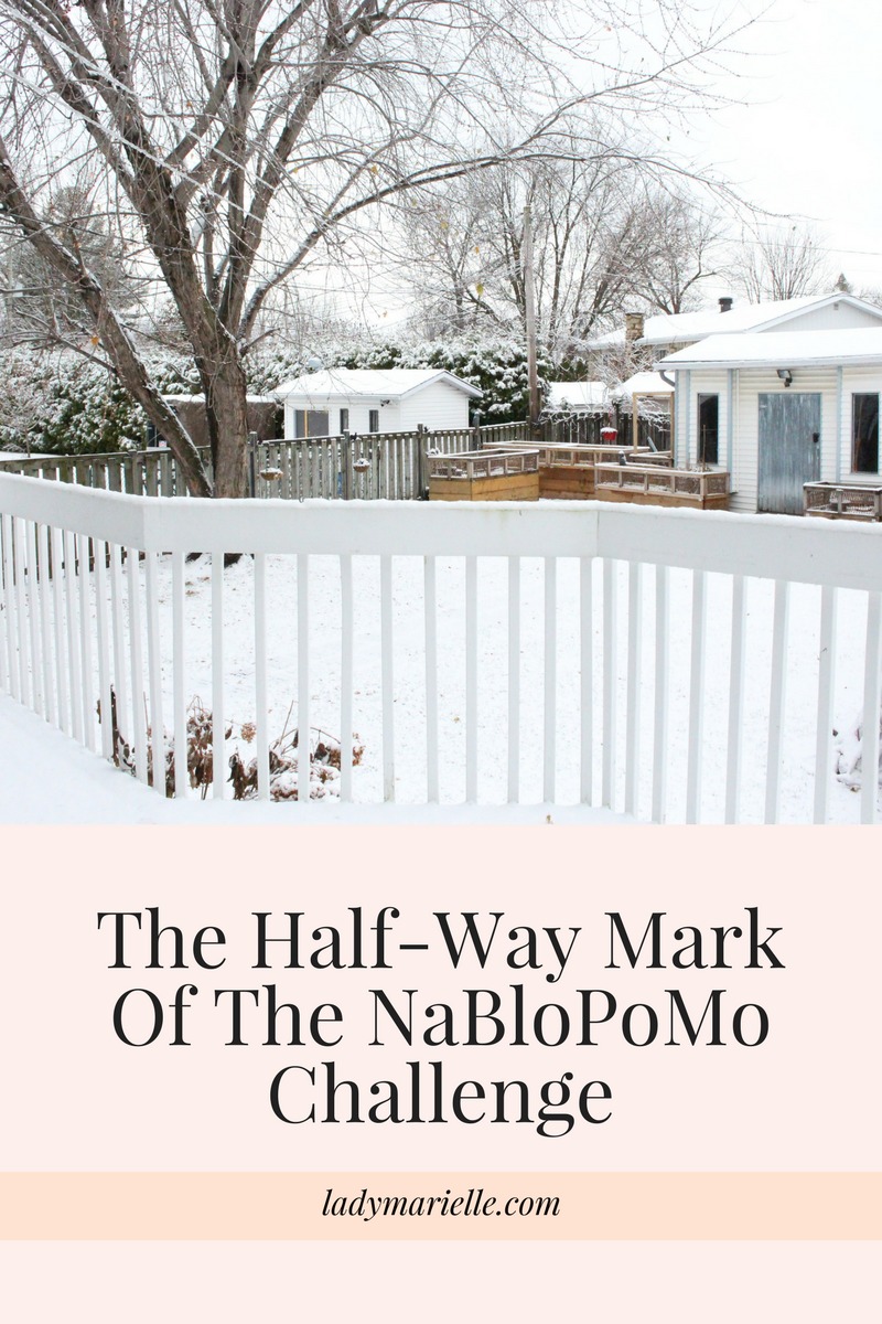 The Half Way Mark Of The NaBloPoMo Challenge