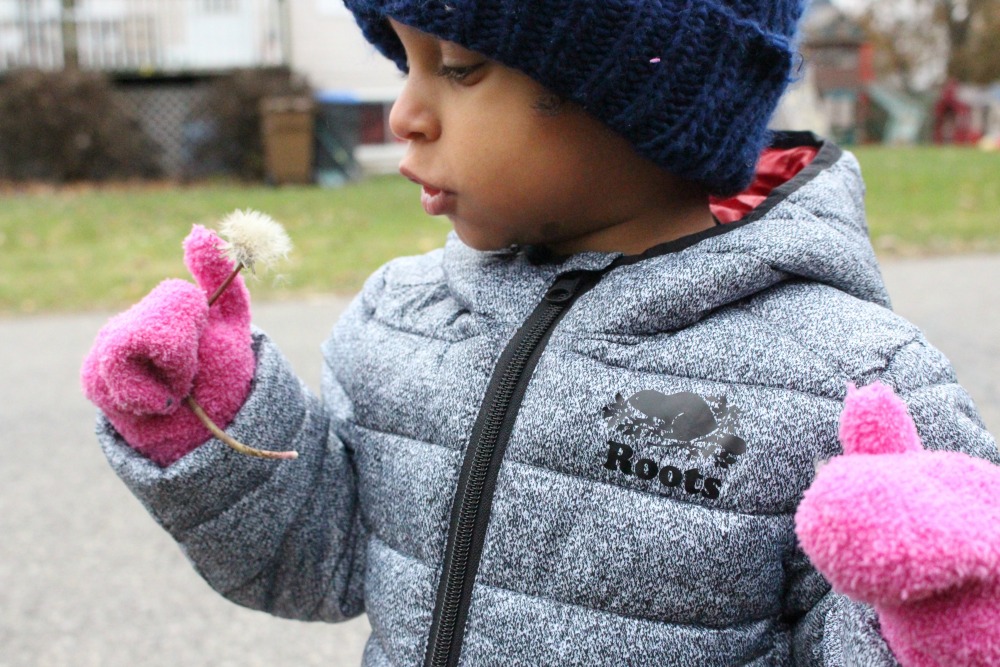 Toddler Winter Essentials Roots Packable Down Jacket