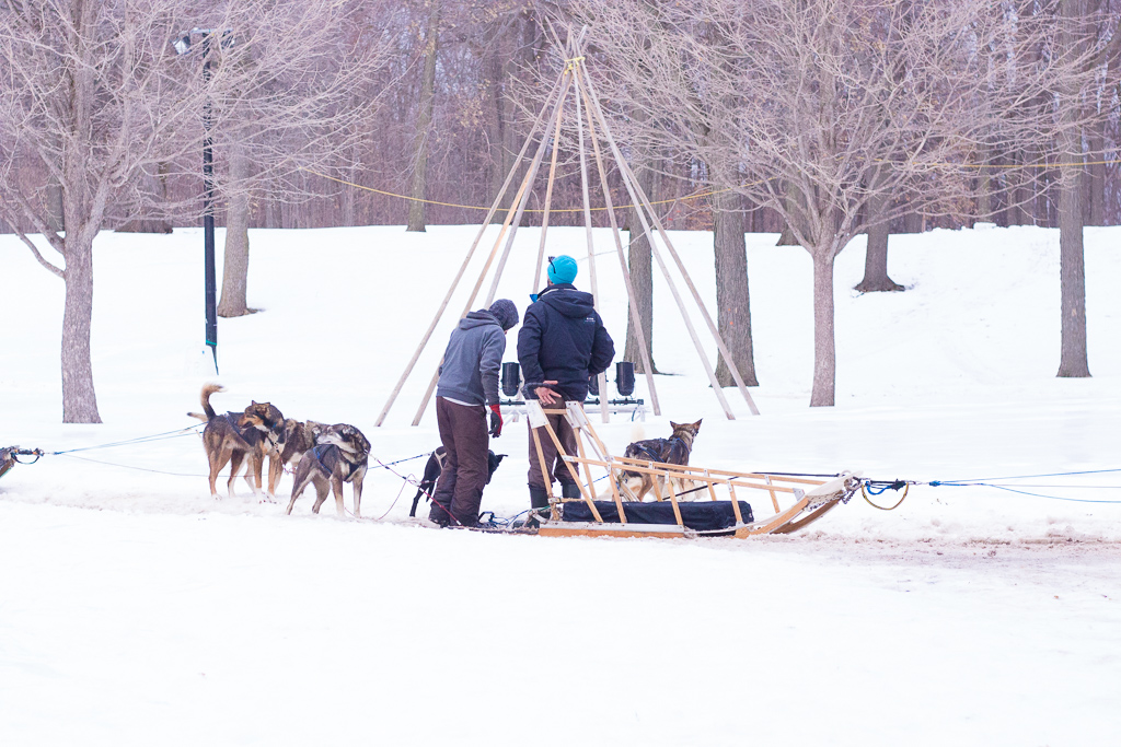 Family Winter Fun | Fête Des Neiges De Montreal