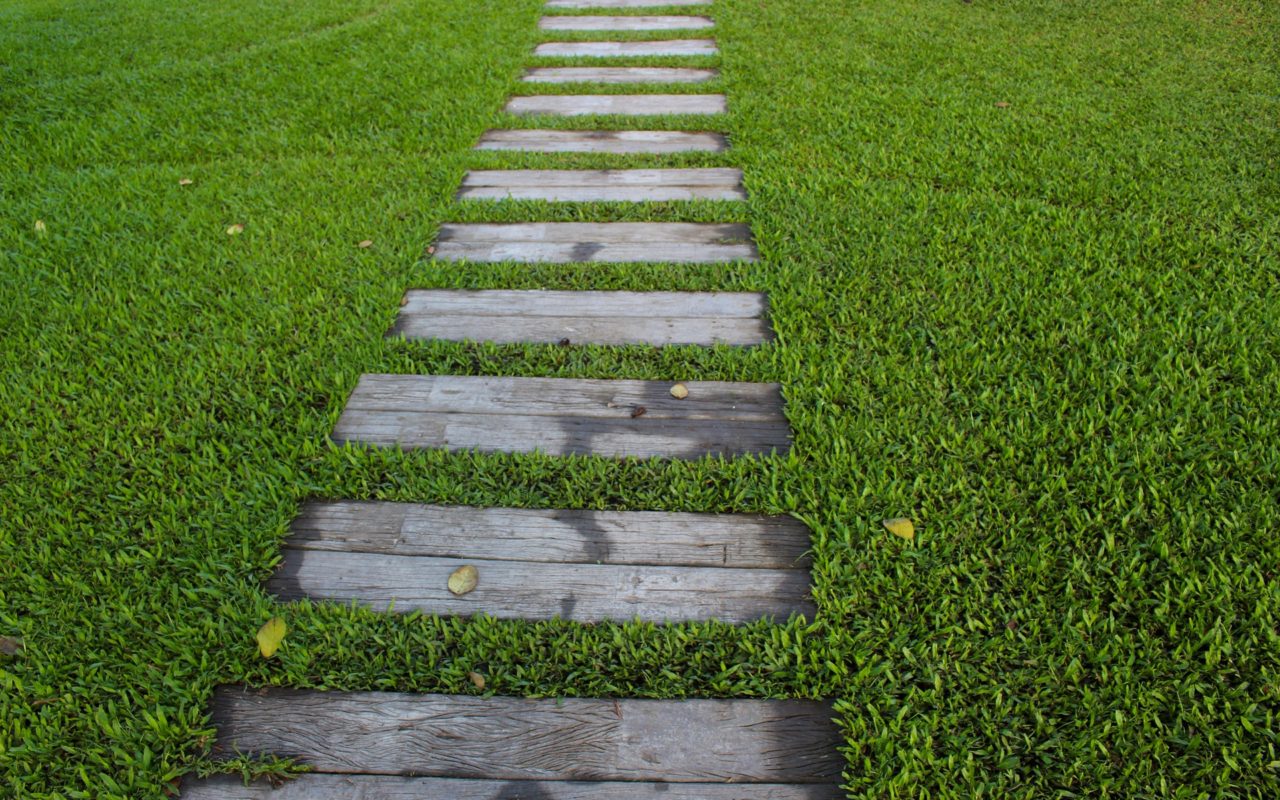 Splendid Paths: Design Ideas for Home Gardeners