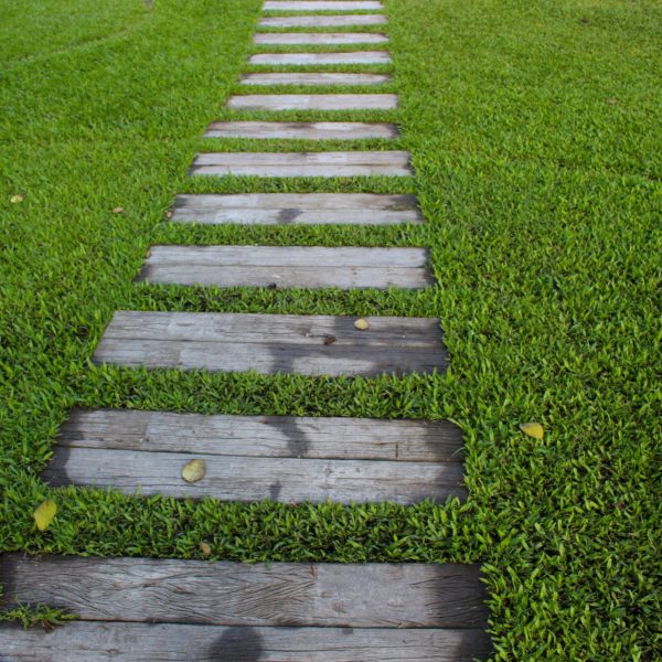 Splendid Paths: Design Ideas for Home Gardeners