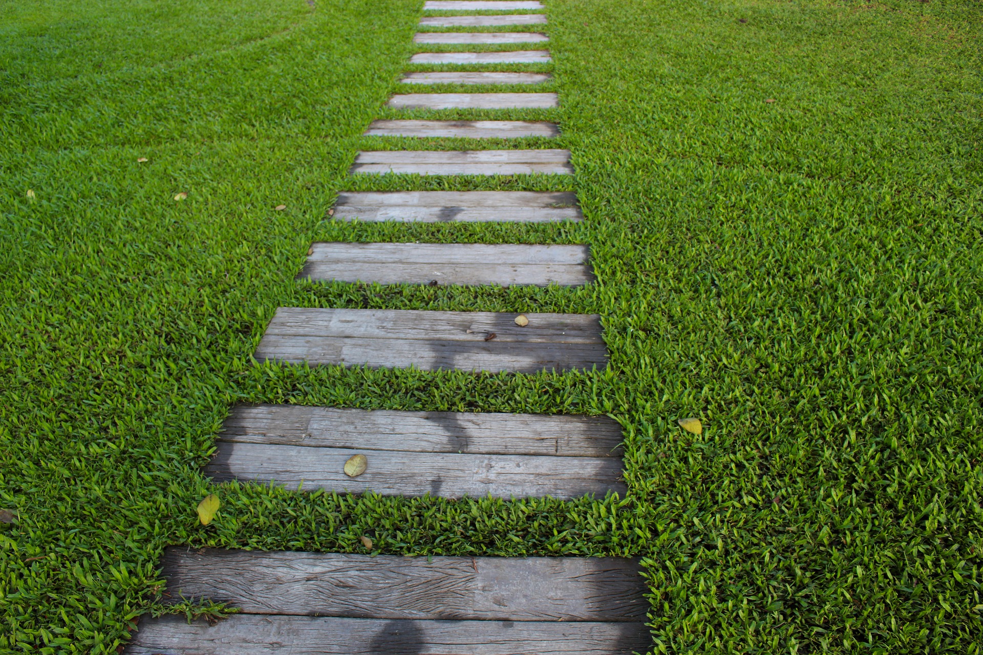 Splendid Paths: Design Ideas for Home Gardeners