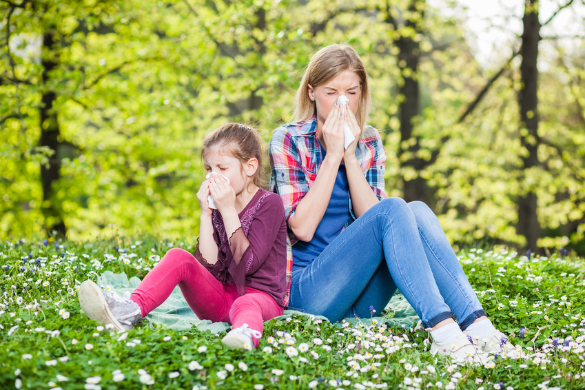Treating Seasonal Allergy Symptoms at Home