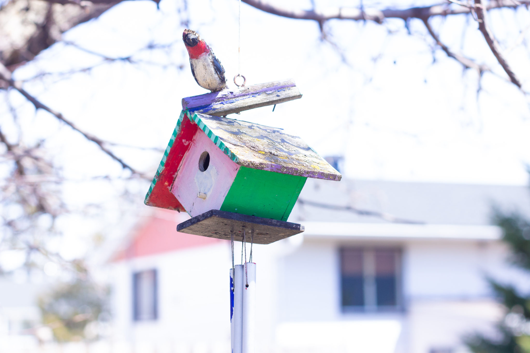 Simple Ways To Brighten Up Your Backyard This Spring