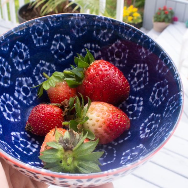 Garden Update: Strawberry Picking In Our Own Yard!