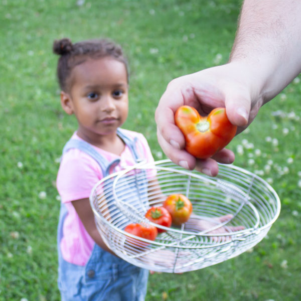 Grateful Sunday: Heart-Shaped Tomato And More Garden Update!