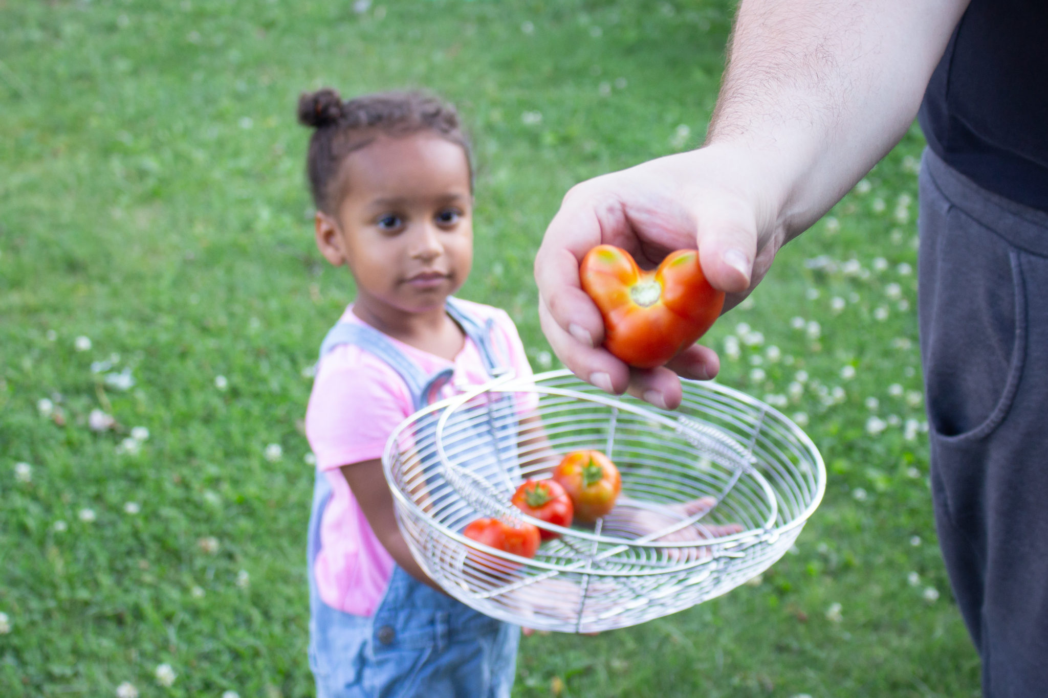 Heart Shaped Tomatoes And More Garden Update!