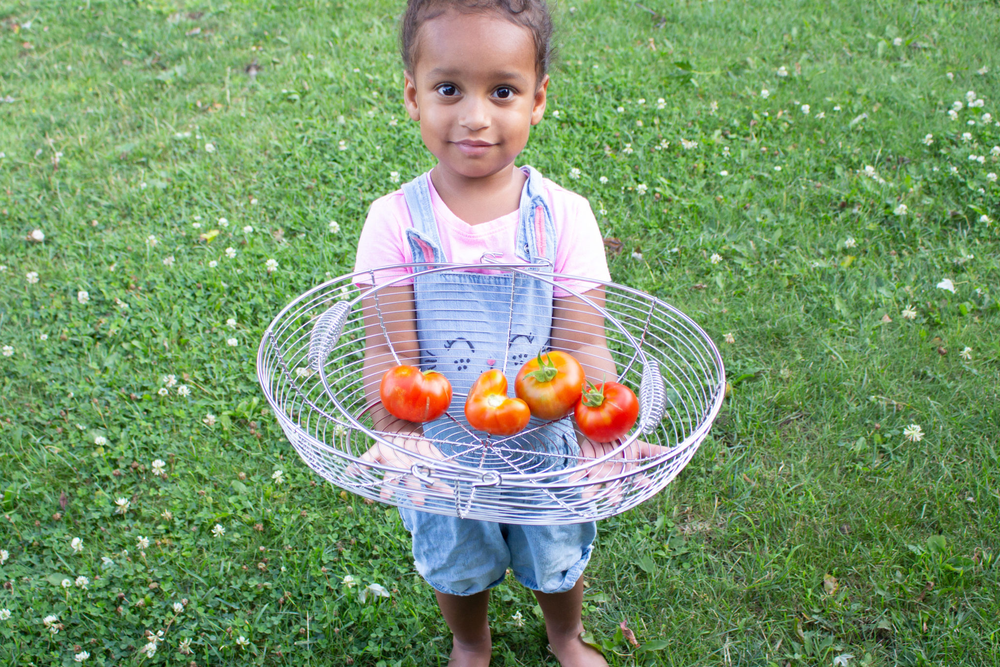 Heart-Shaped Tomato And More Garden Update!