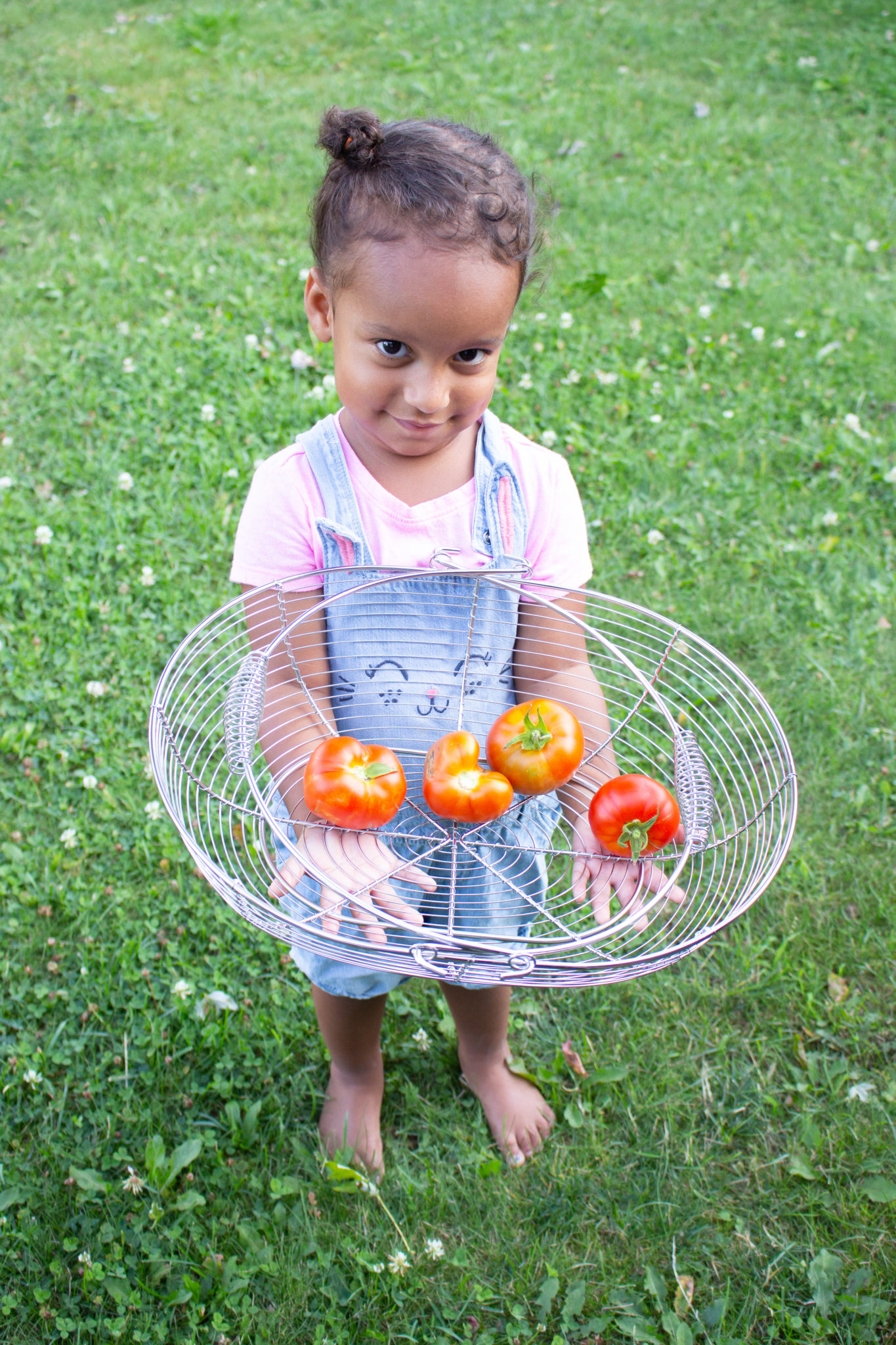 Heart-Shaped Tomato And More Garden Update!