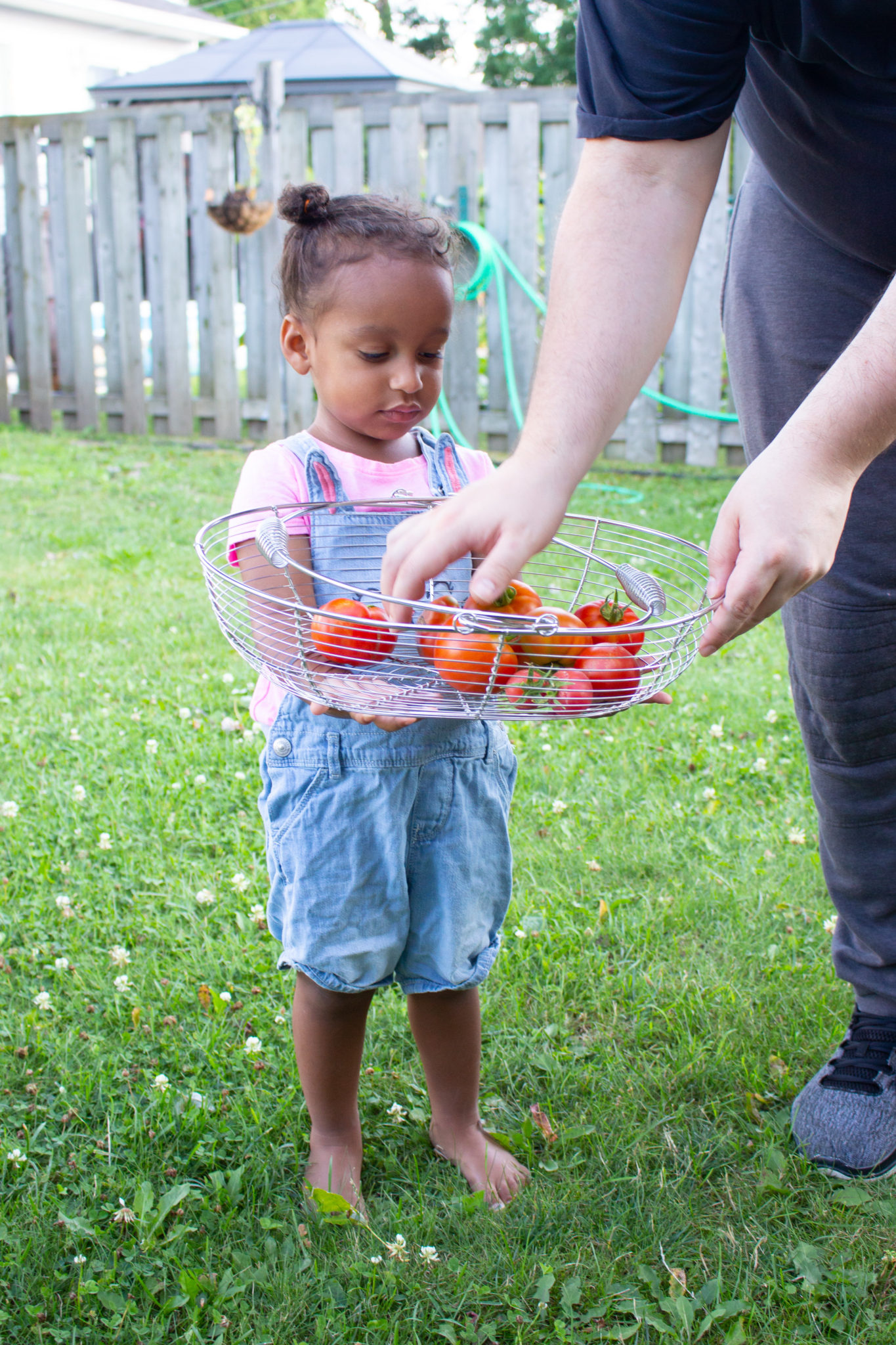 Heart Shaped Tomatoes And More Garden Update!