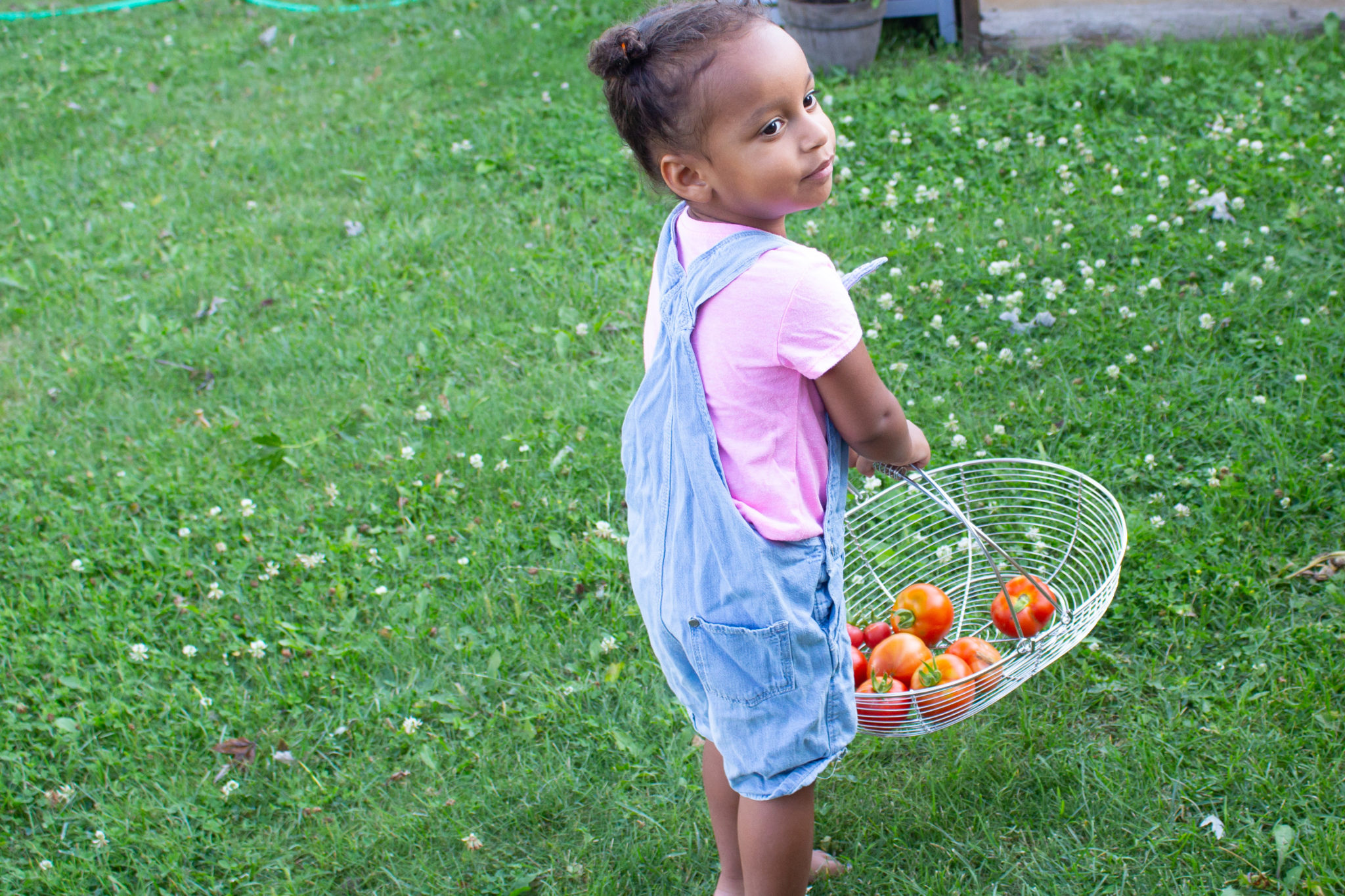 Heart-Shaped Tomato And More Garden Update!