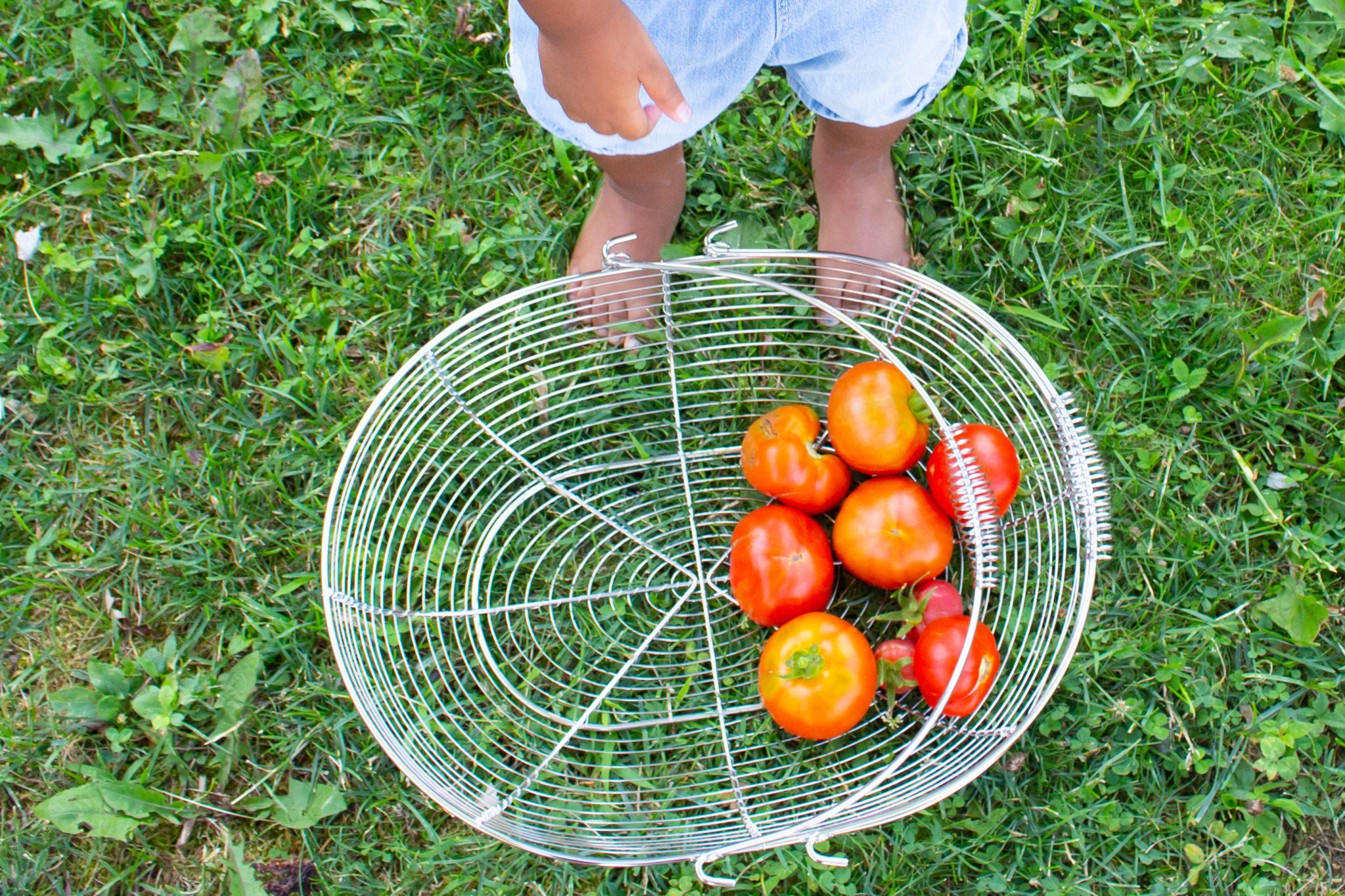 Heart-Shaped Tomato And More Garden Update!