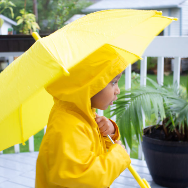 Grateful Sunday: Goodbye Summer, Hello Fall!