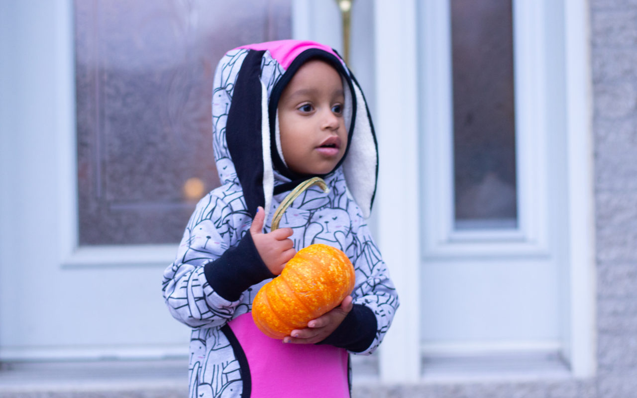 Bunny Dress And Pumpkins