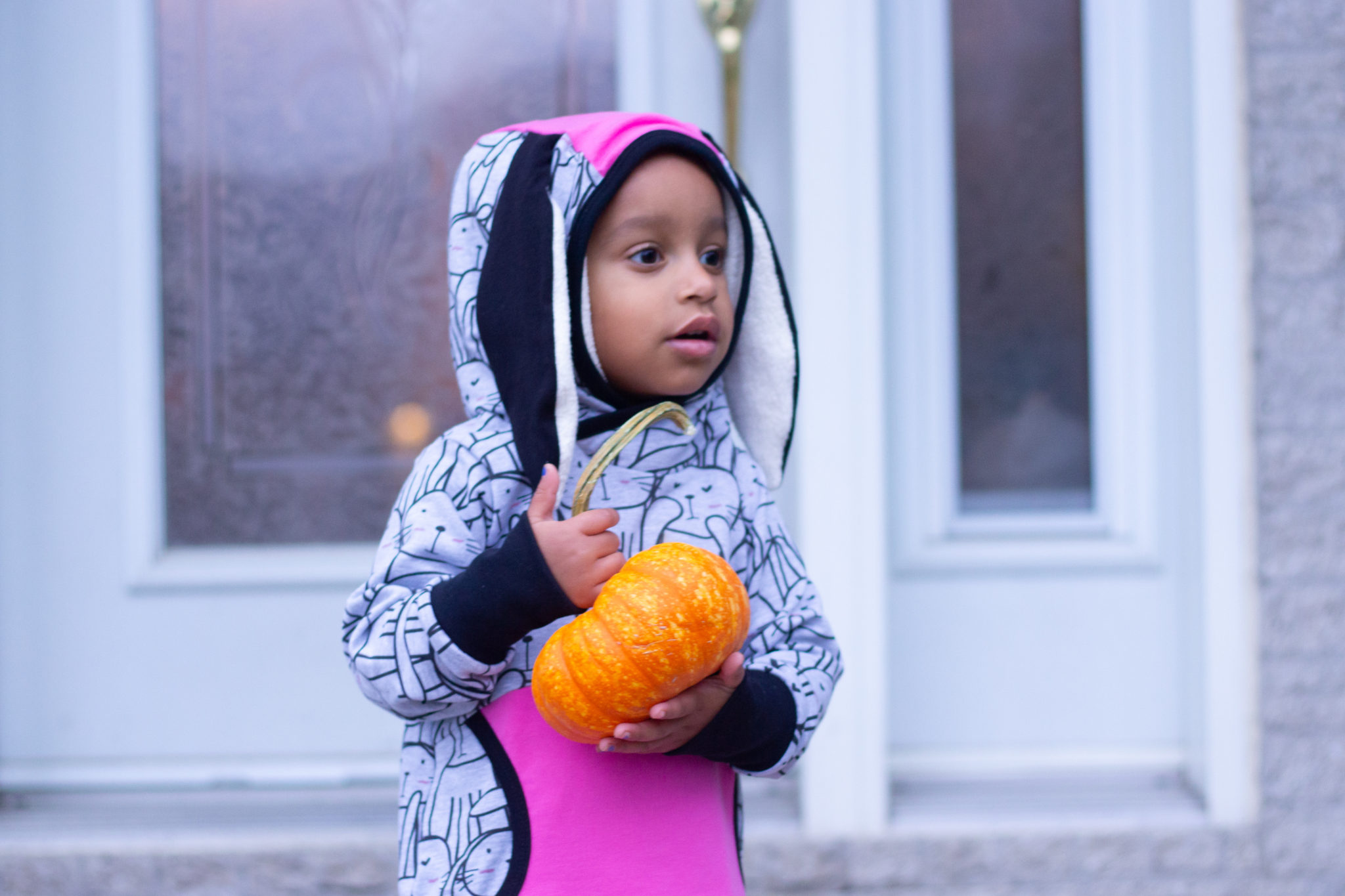 Bunny Dress And Pumpkins