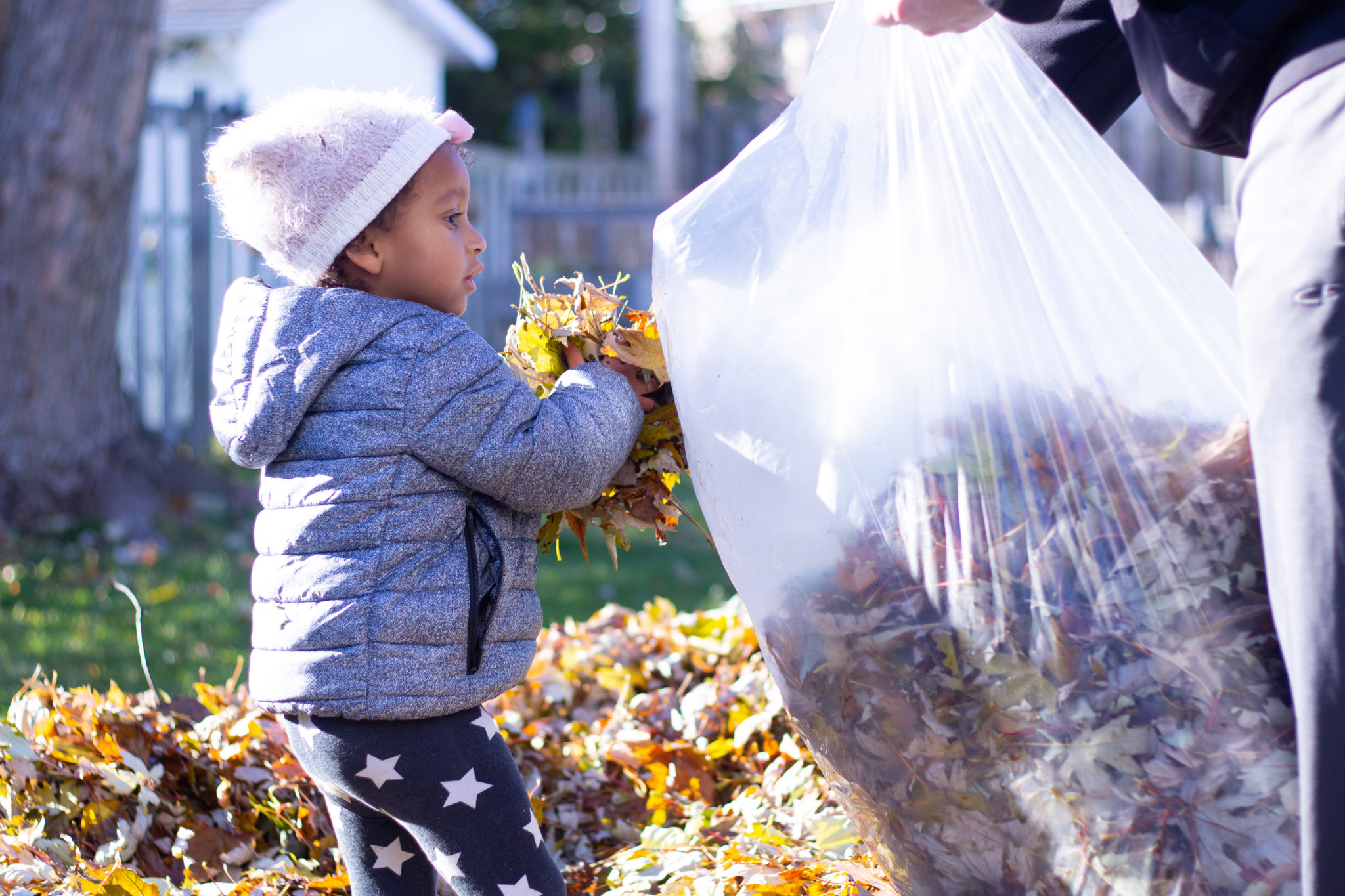 5 Important Tasks To Get Your Backyard Winter Ready