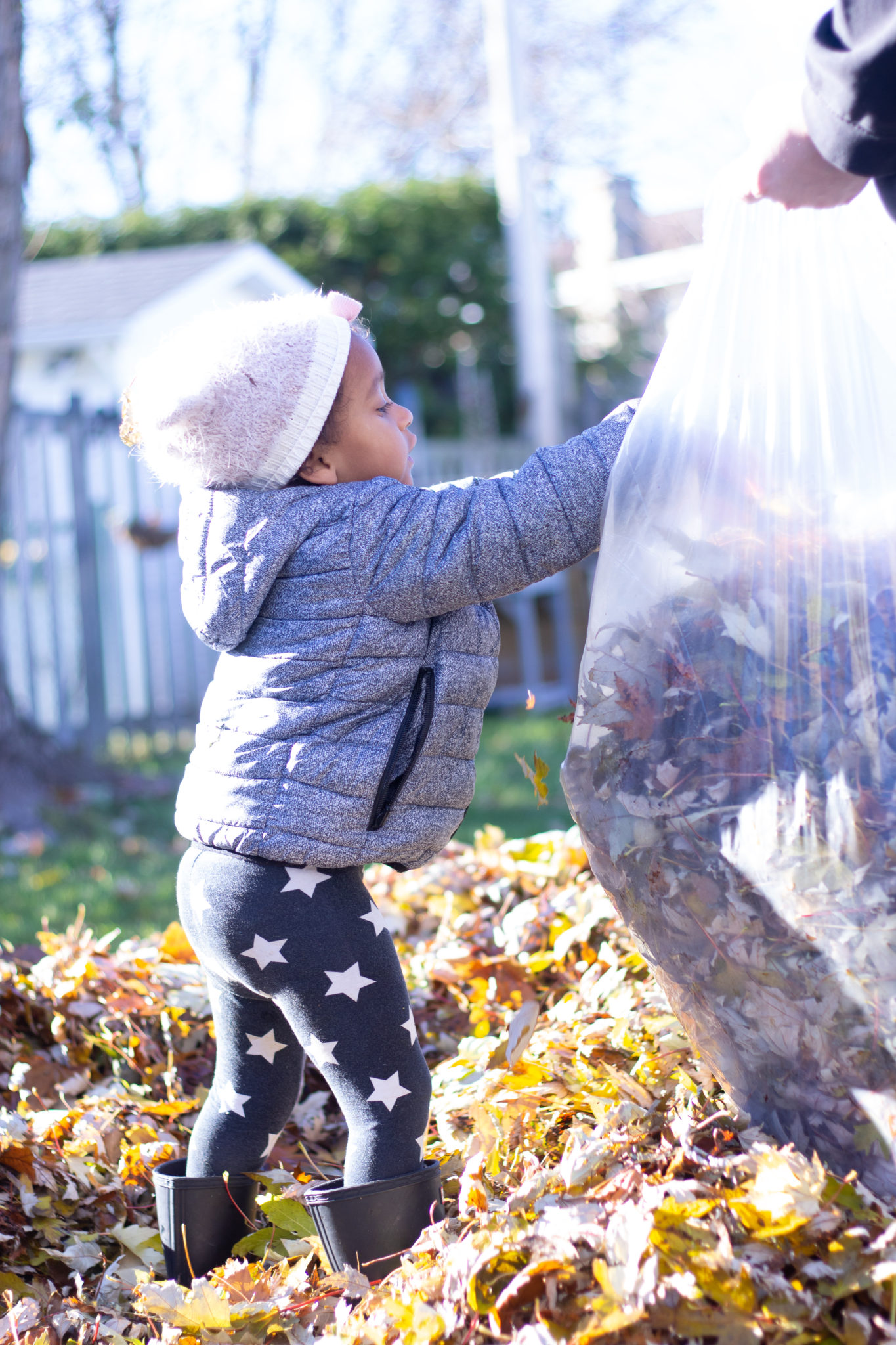 5 Important Tasks To Get Your Backyard Winter Ready