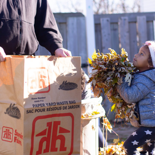 5 Important Tasks To Get Your Backyard Winter Ready