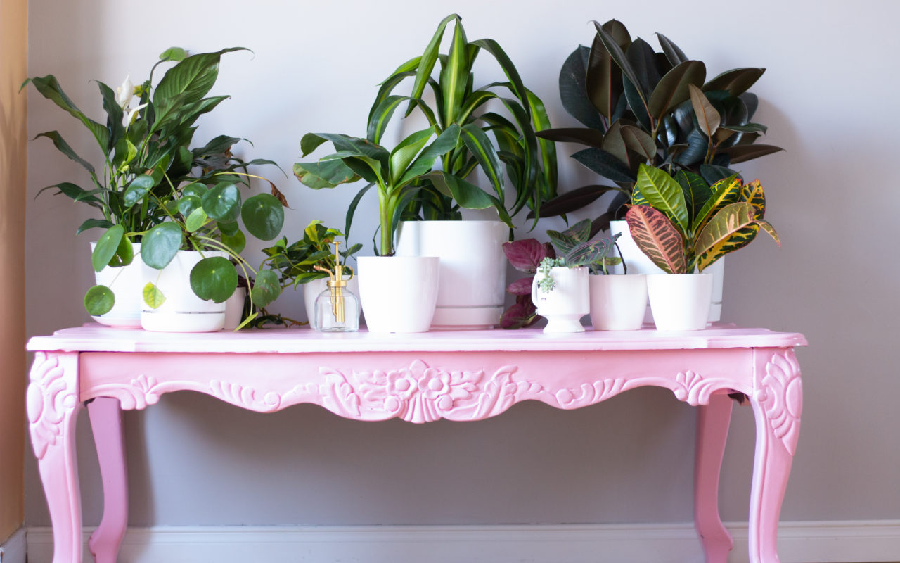 Pretty In Pink | Before & After Coffee Table Makeover