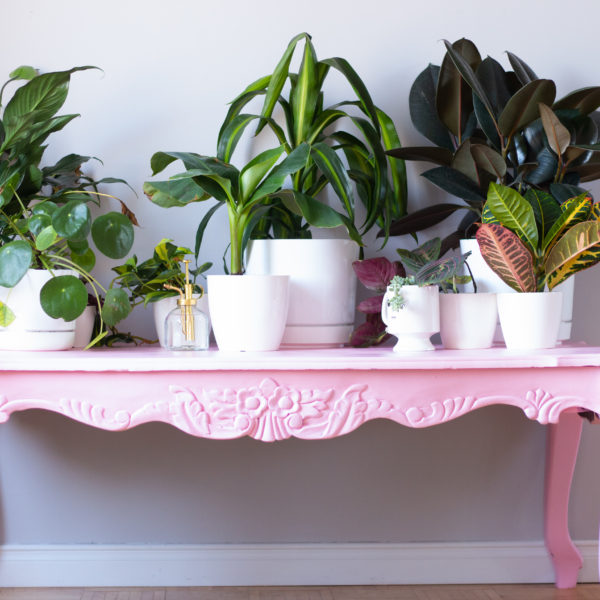 Pretty In Pink | Before & After Coffee Table Makeover