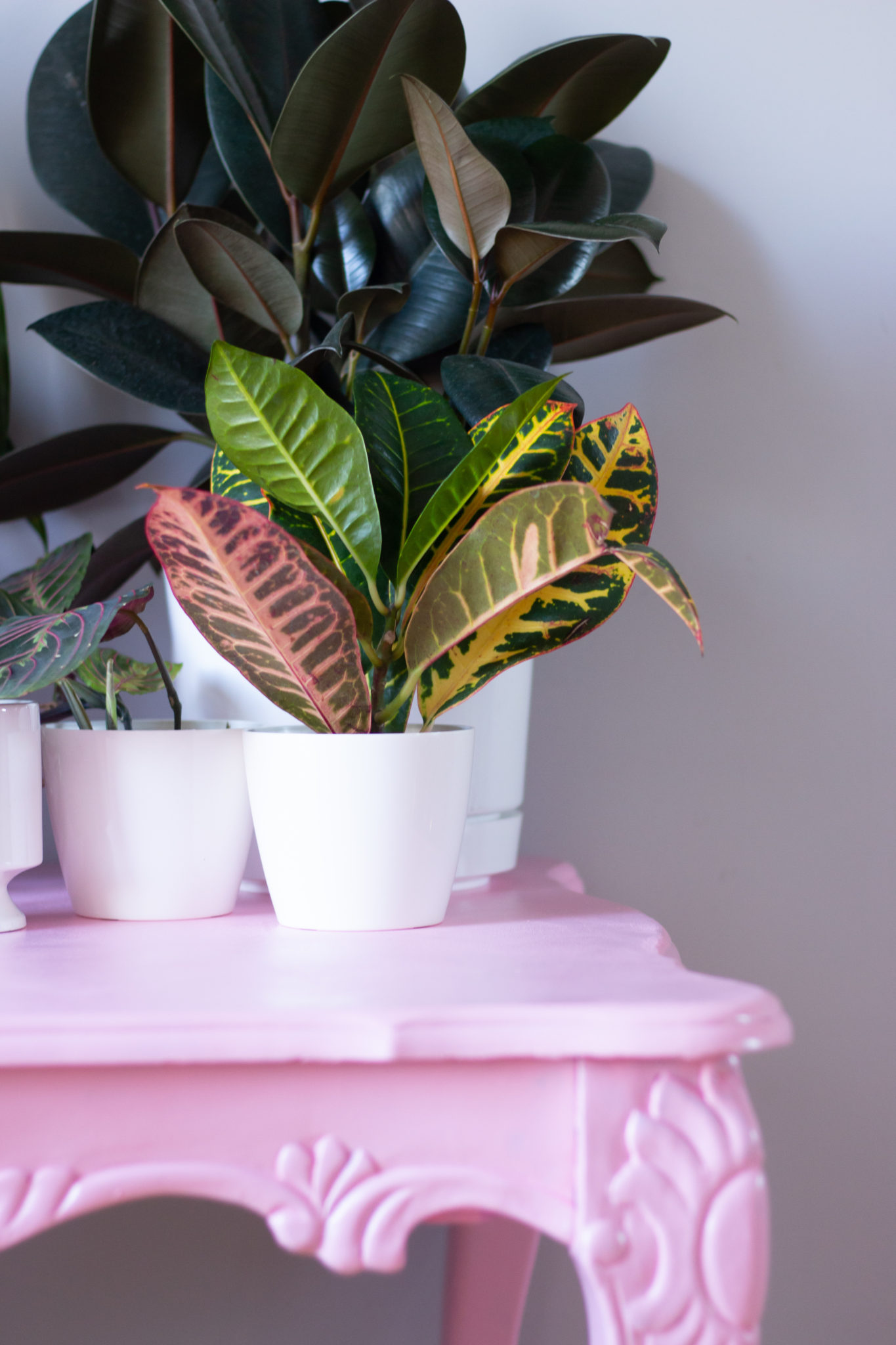 Pretty In Pink | Before & After Coffee Table Makeover