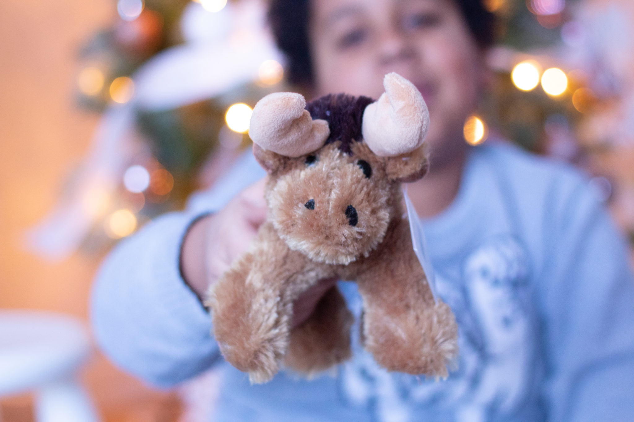 Adopt an animal best sale gift