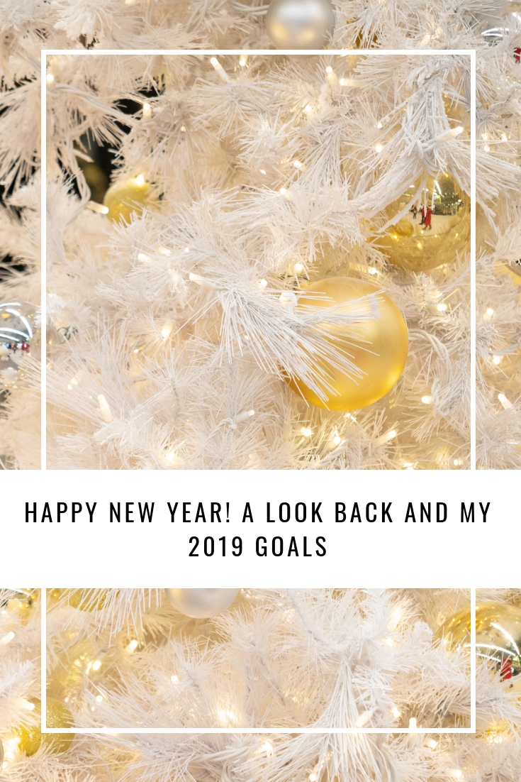 A Look Back And My 2019 Goals